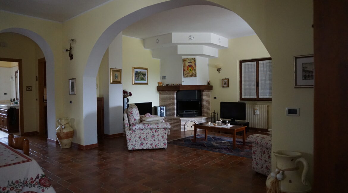 DSC00244