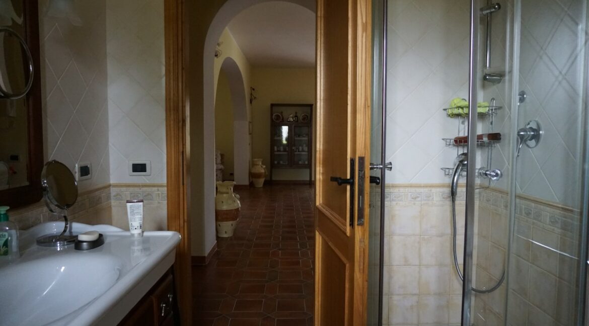 DSC00250
