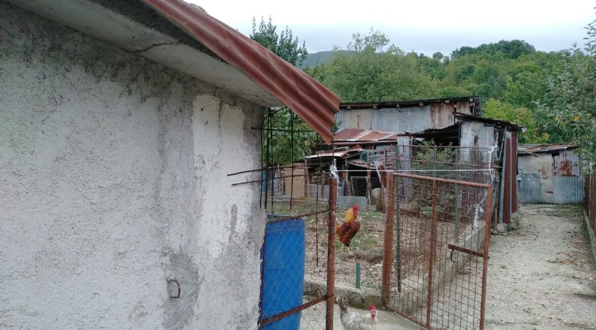 esterno (41)