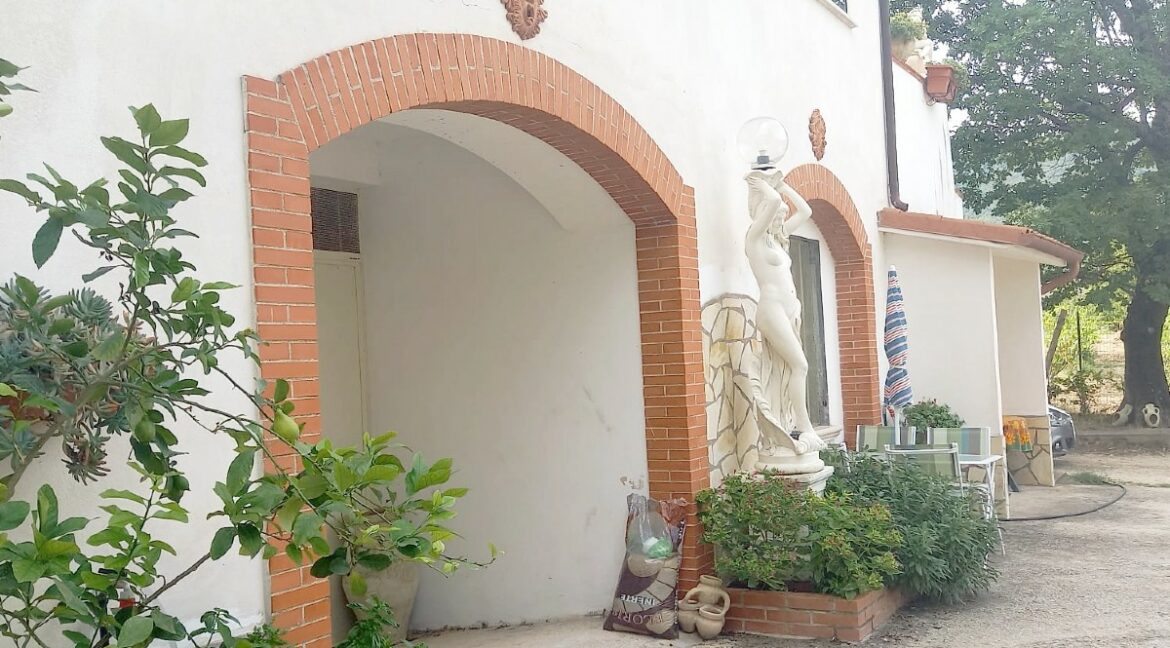 esterno (55)