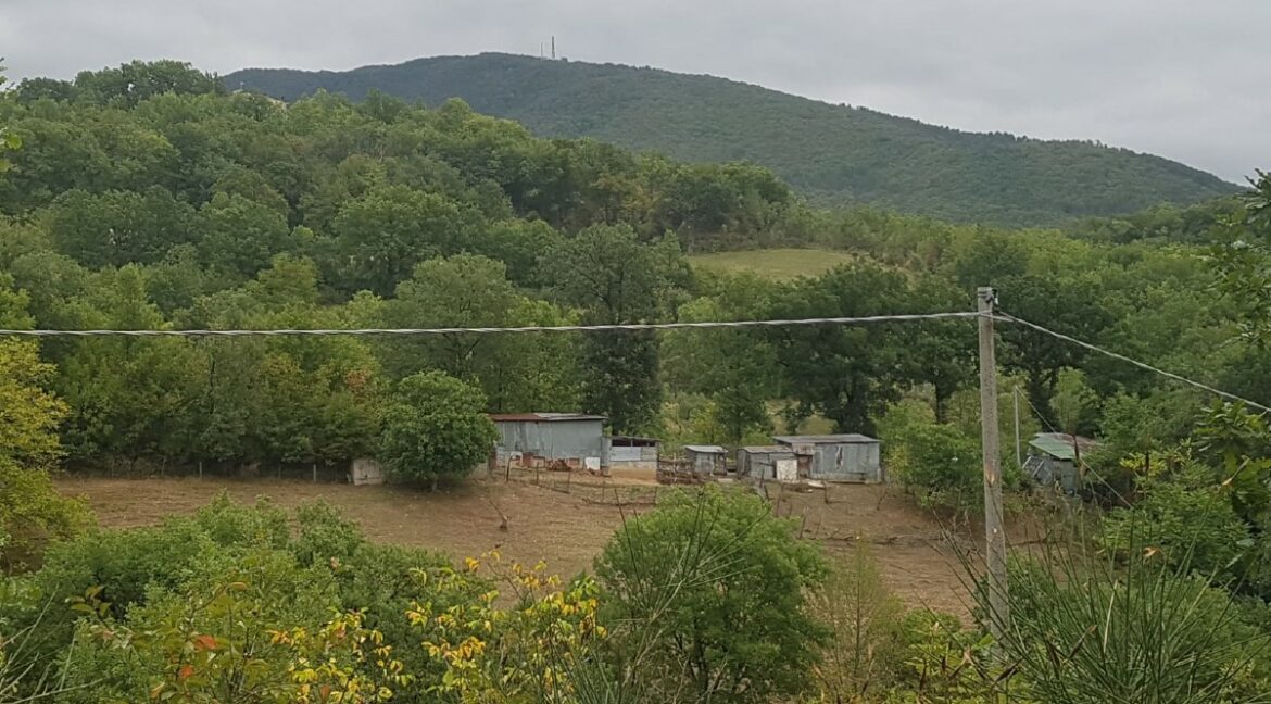 panorama (1)