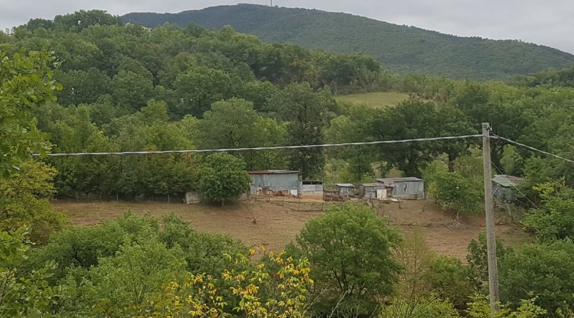 panorama (2)