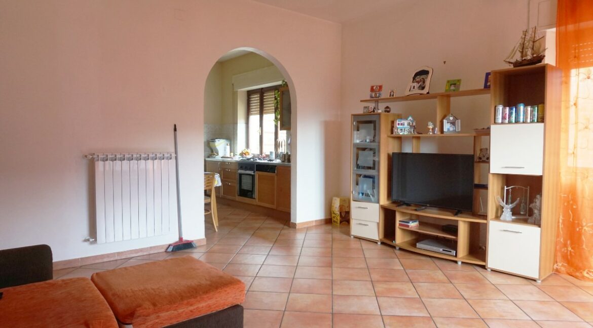 SALA (65)