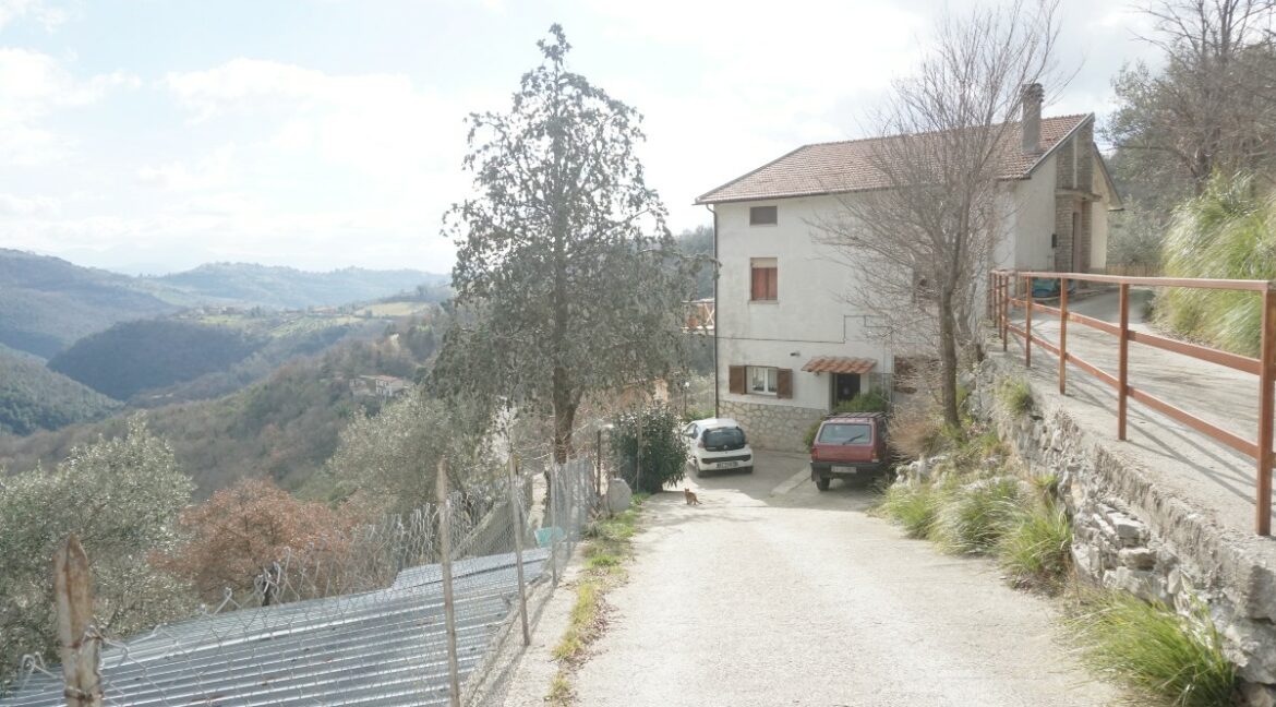 esterno (81)