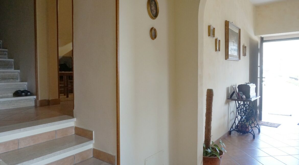 interno (6)