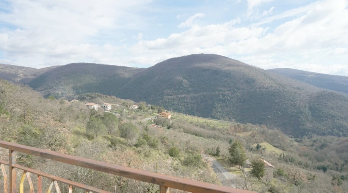 visuale (3)