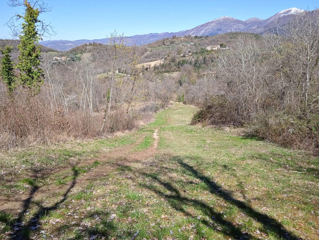 Rieti-Località La Foresta: Terreno agricolo di 3 ettari (Rif.2326)