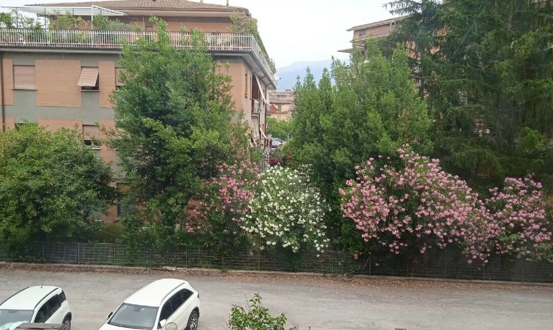 vista (1)