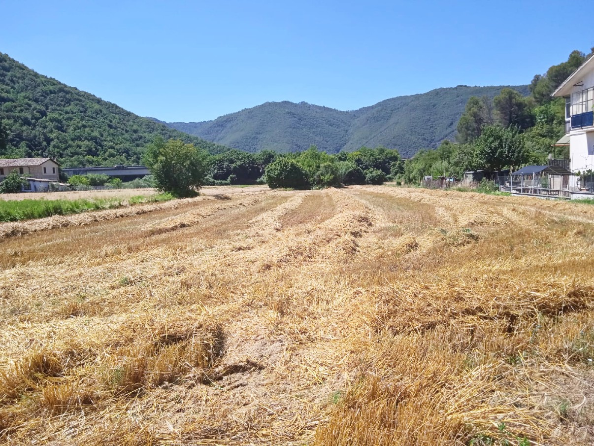 Rieti-Via Salaria per L’aquila/Villa Reatina:Terreno agricolo di 4.000 mq con annesso agricolo di 70 mq(Rif.2375)