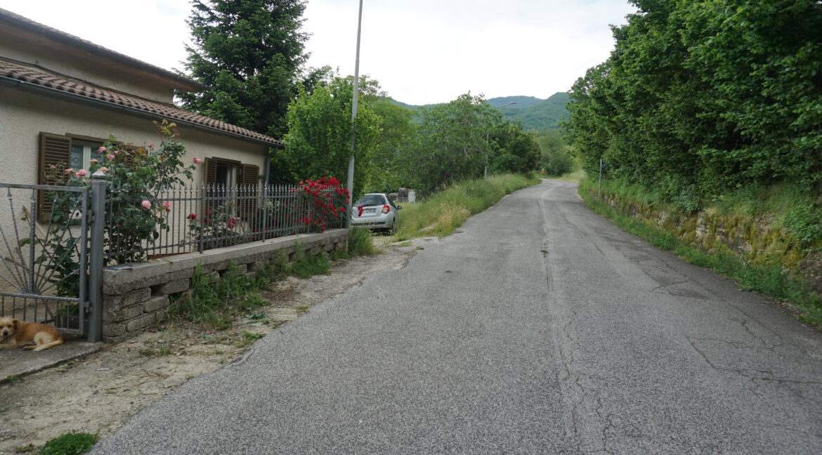DSC03096