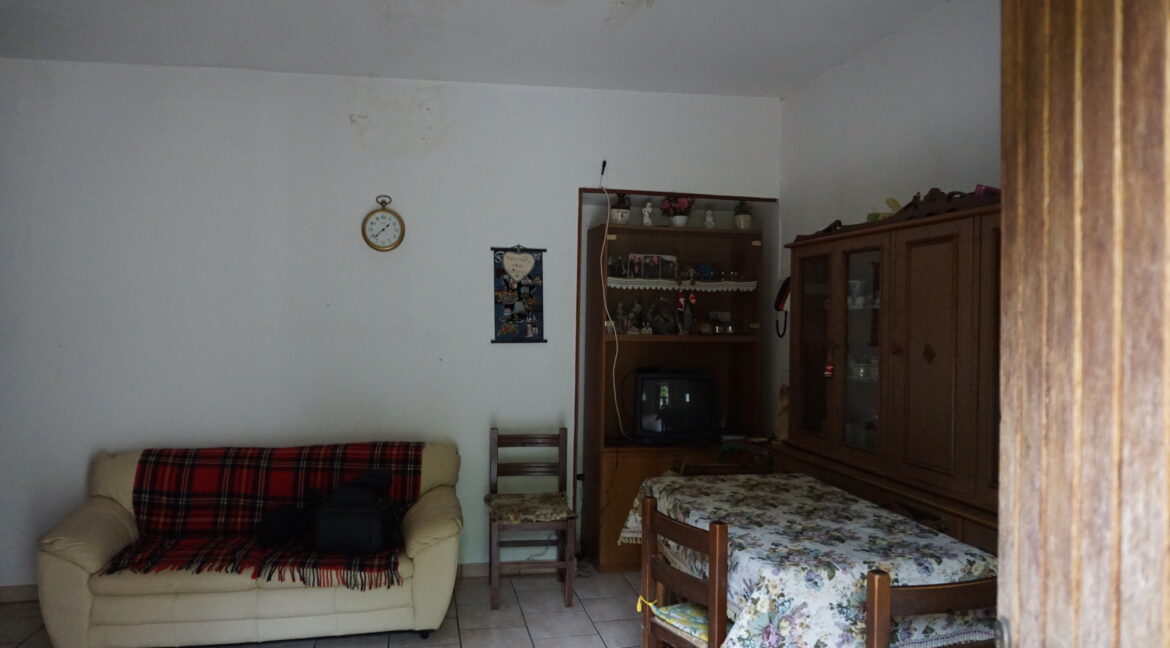 DSC03097