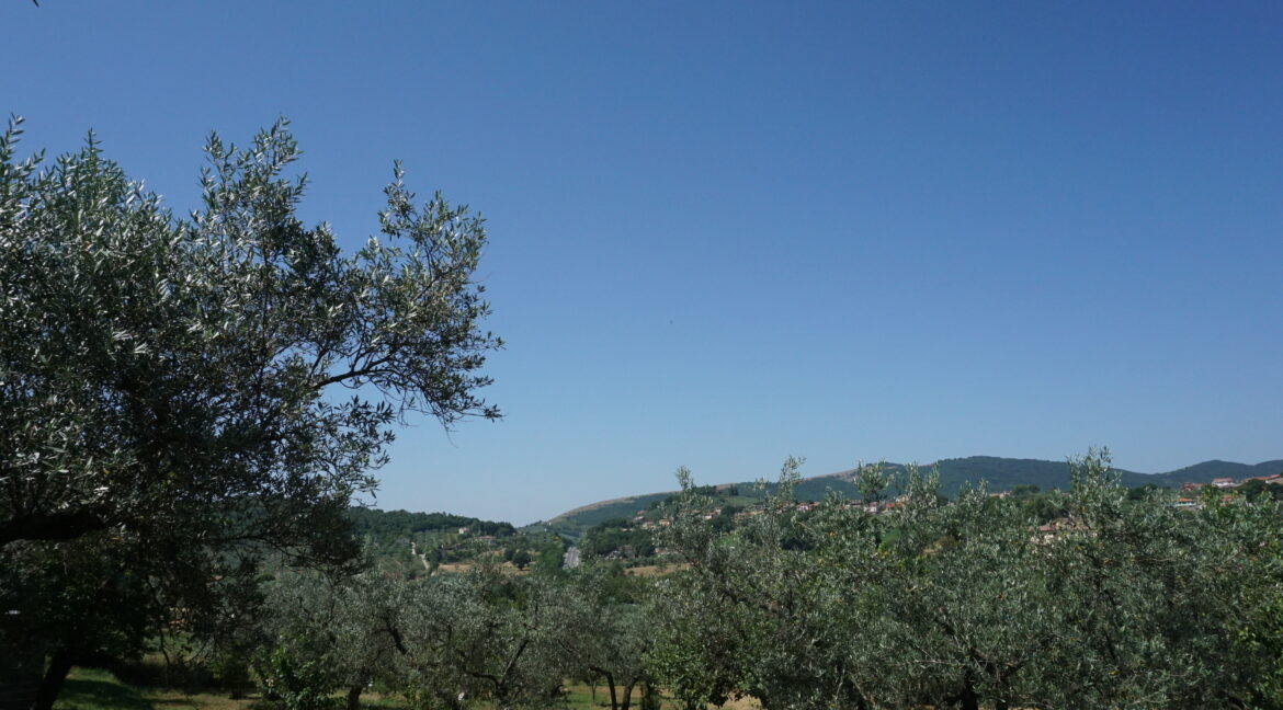 DSC03494