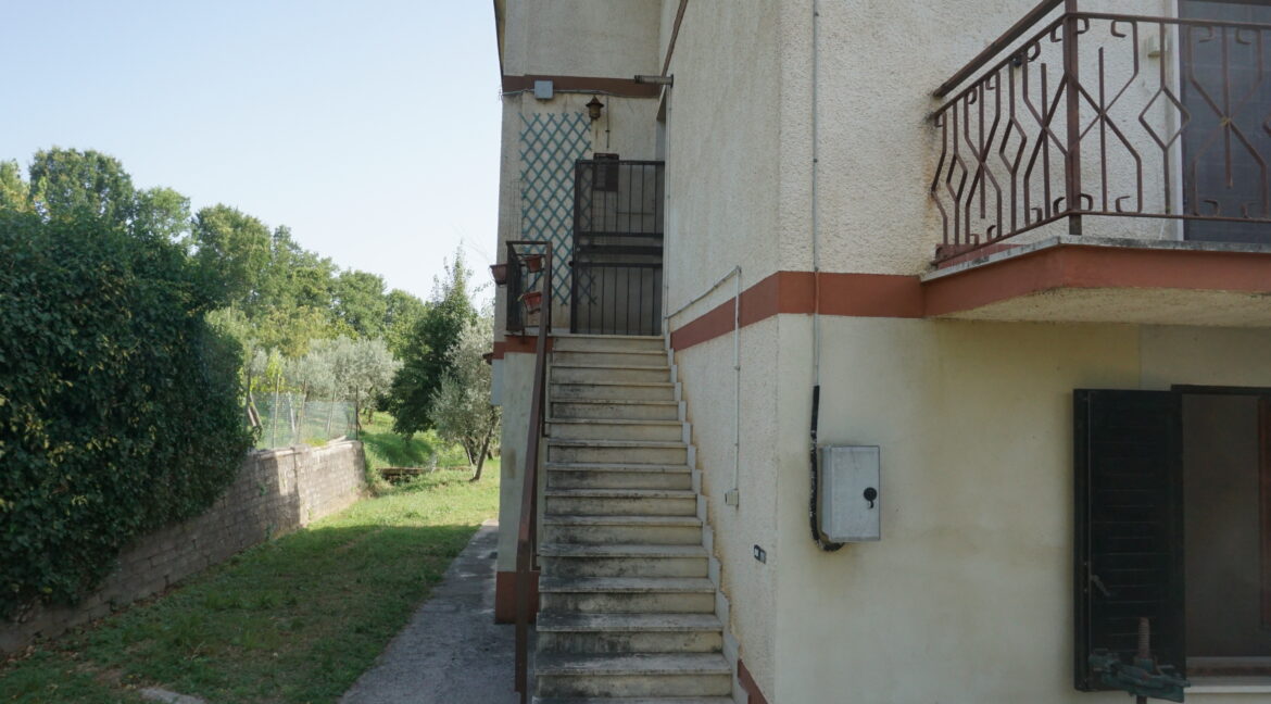 DSC03546