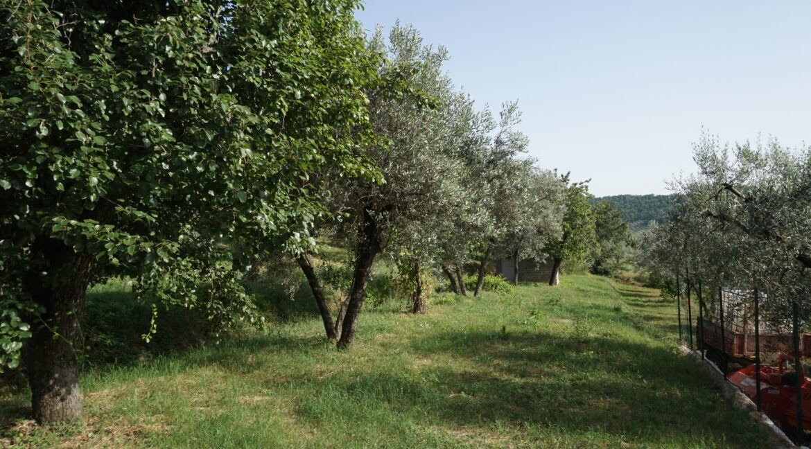 DSC03564