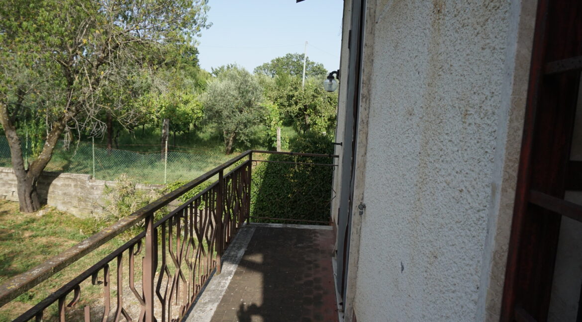DSC03578