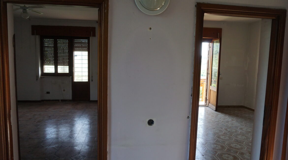 DSC03584 (1)