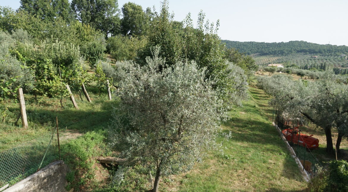 DSC03587