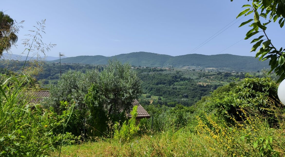 IMG-20230720-WA0059