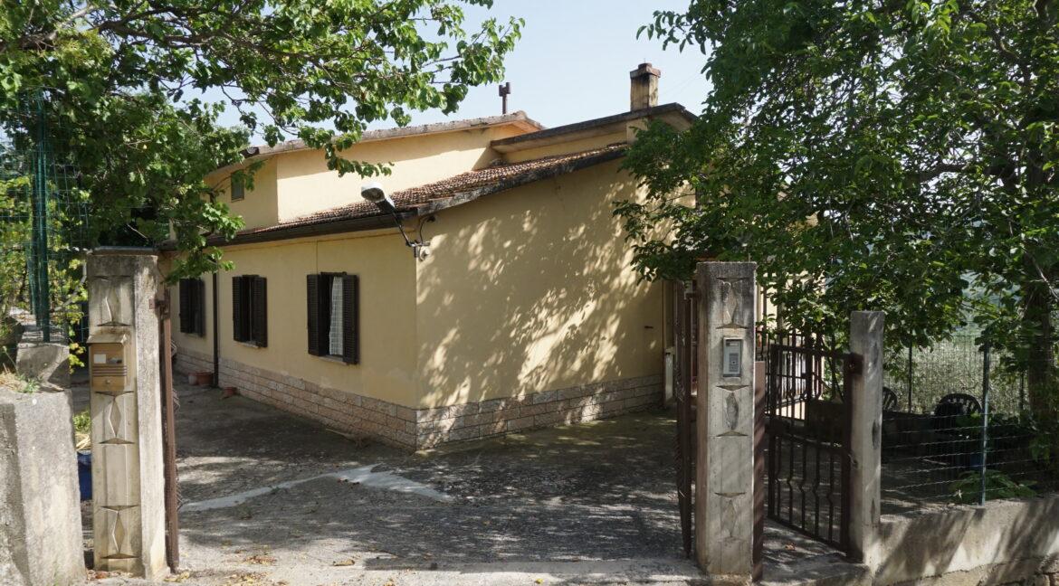 DSC03500 (1)