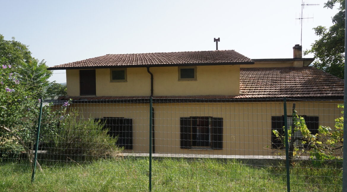 DSC03501 (1)