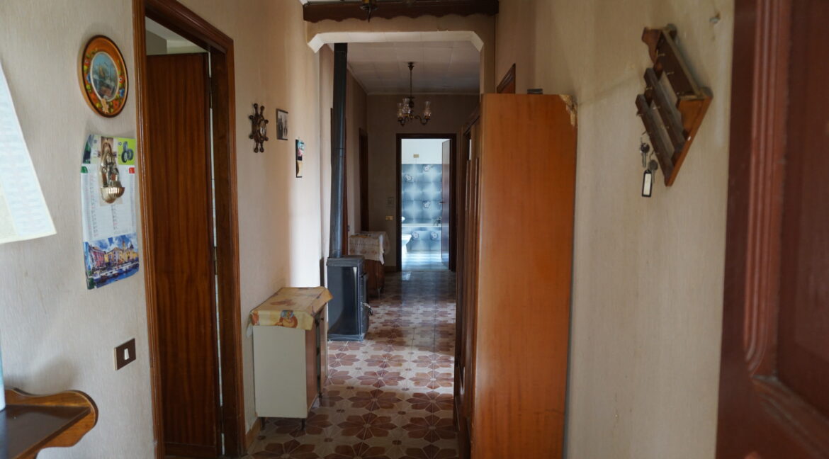 DSC03502 (1)