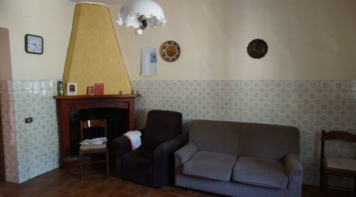 DSC03504 (1)