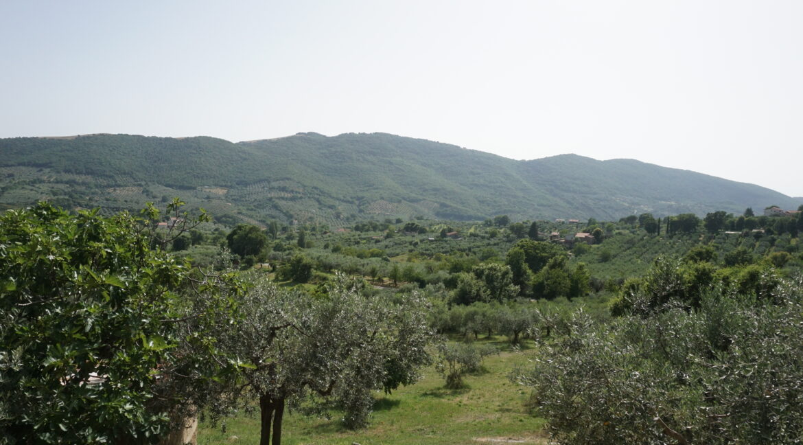 DSC03508 (1)