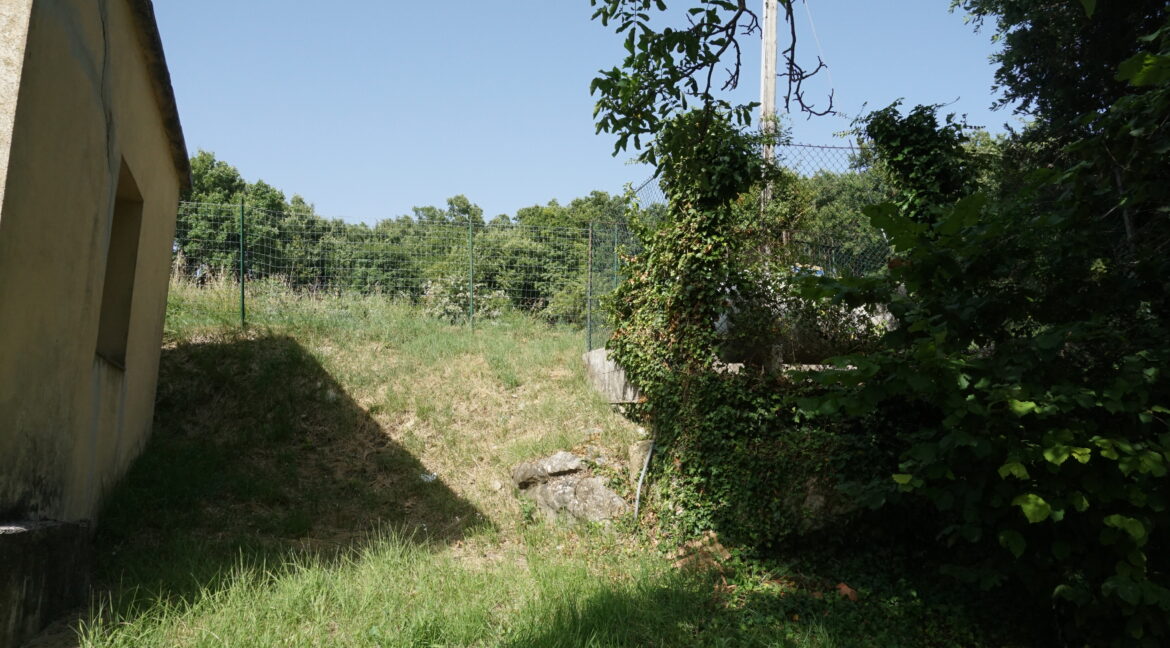 DSC03530