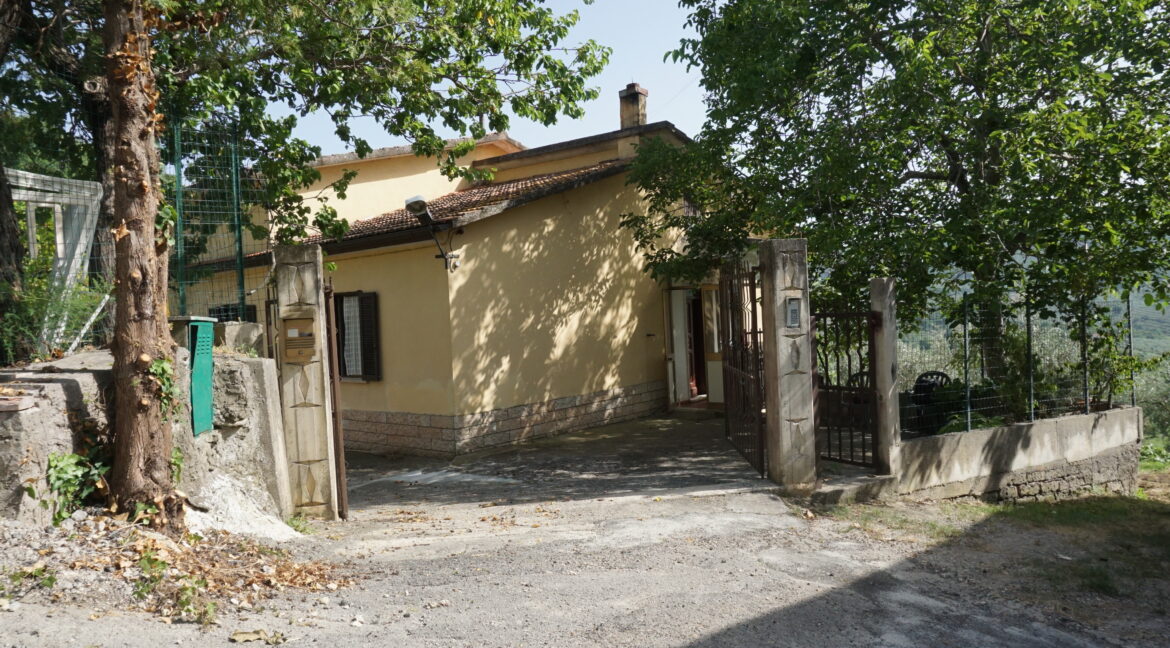 DSC03541