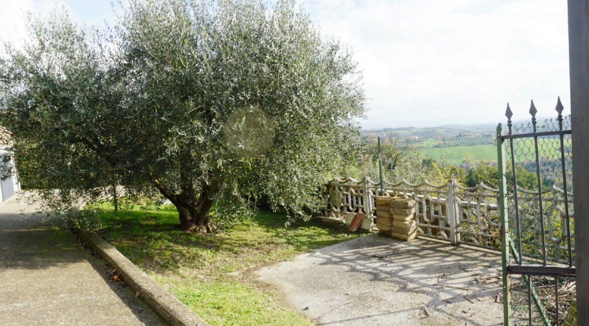 giardino 08