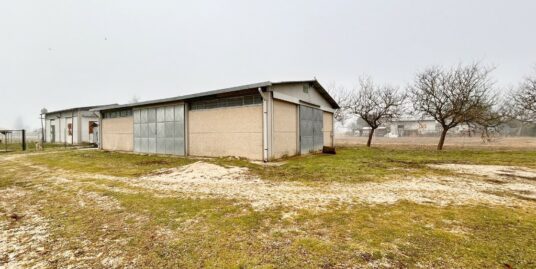 PIANA REATINA: Magazzino di circa 150 mq con corte privata (Rif.2654)