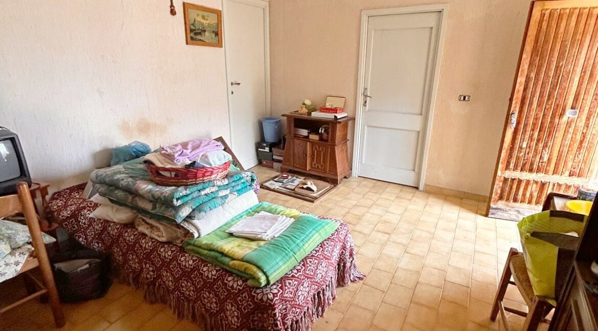 camera 01 (1)