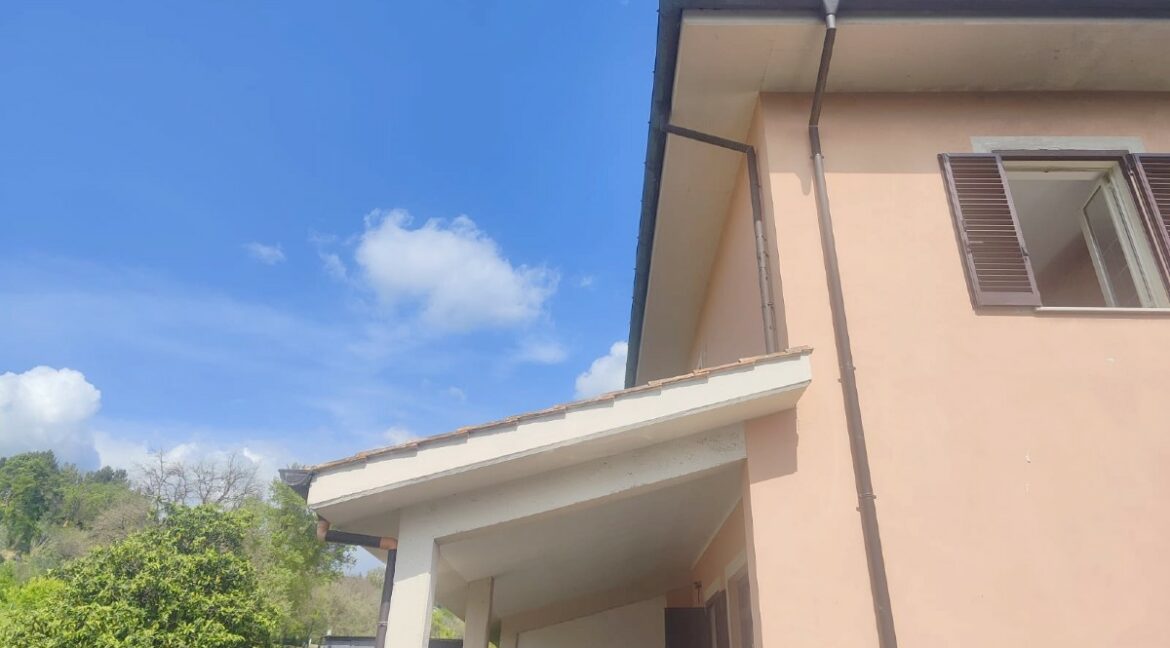 05 (1)