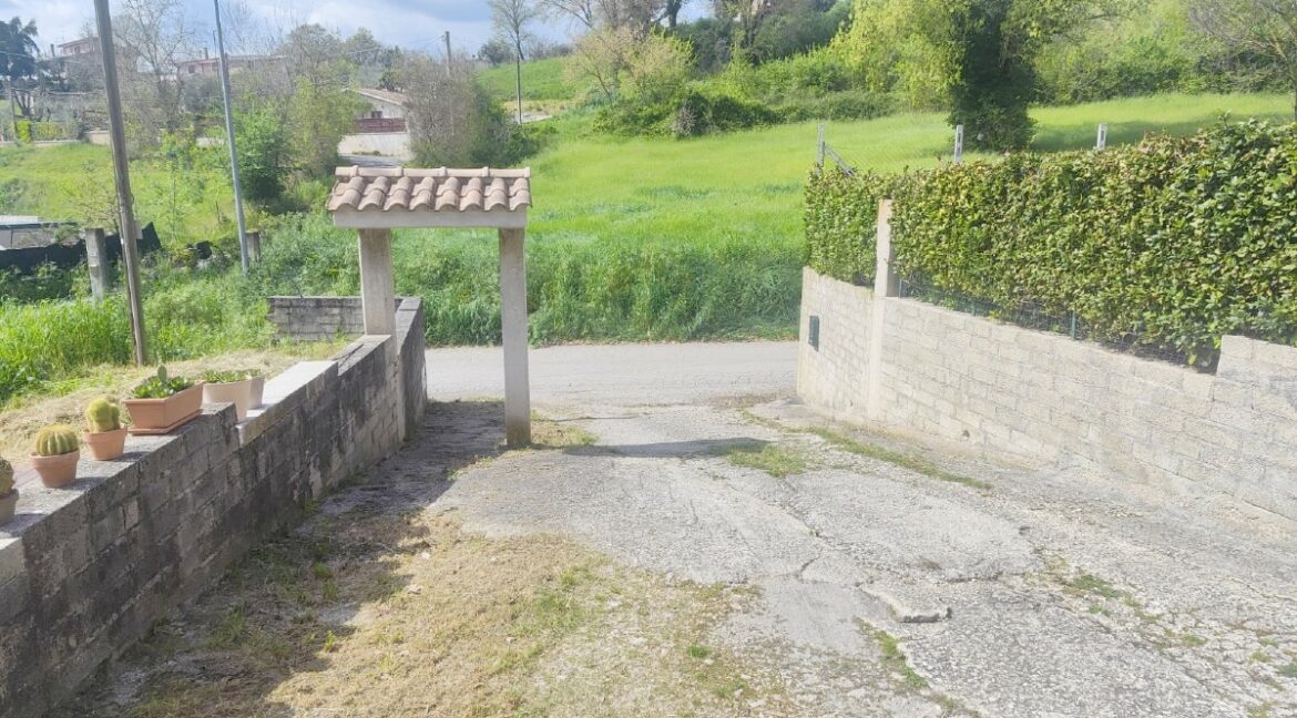 07 (1)
