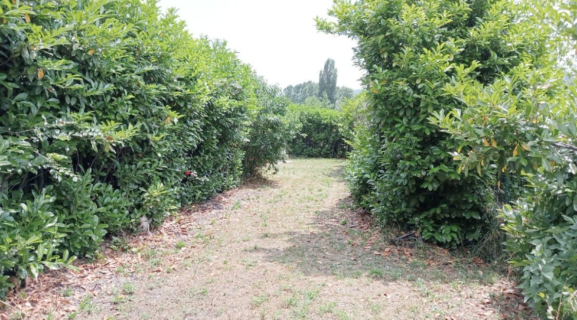02 (1)