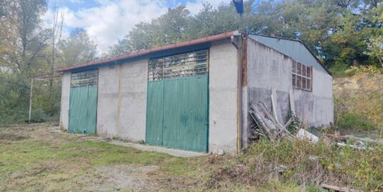 NEROLA-ACQUAVIVA Capannone di 165 mq in buone condizioni (Rif.2777)