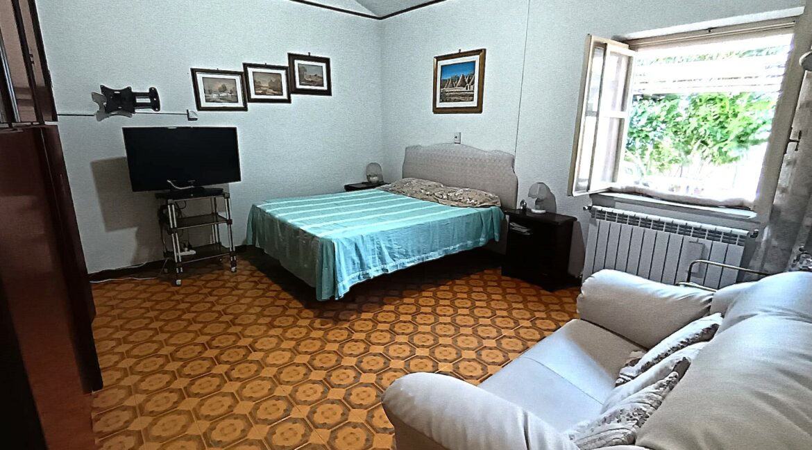 31